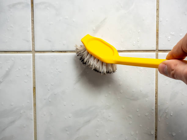 Best Mold Cleaning Services  in Web, AL