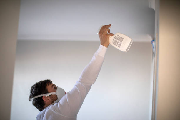 Best Office Mold Removal Services  in Web, AL