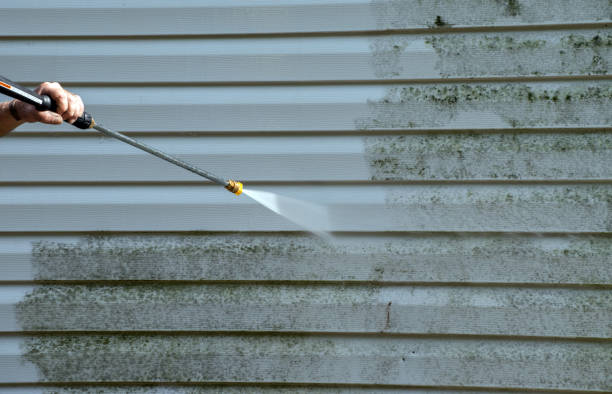 Best Certified Mold Removal  in Web, AL